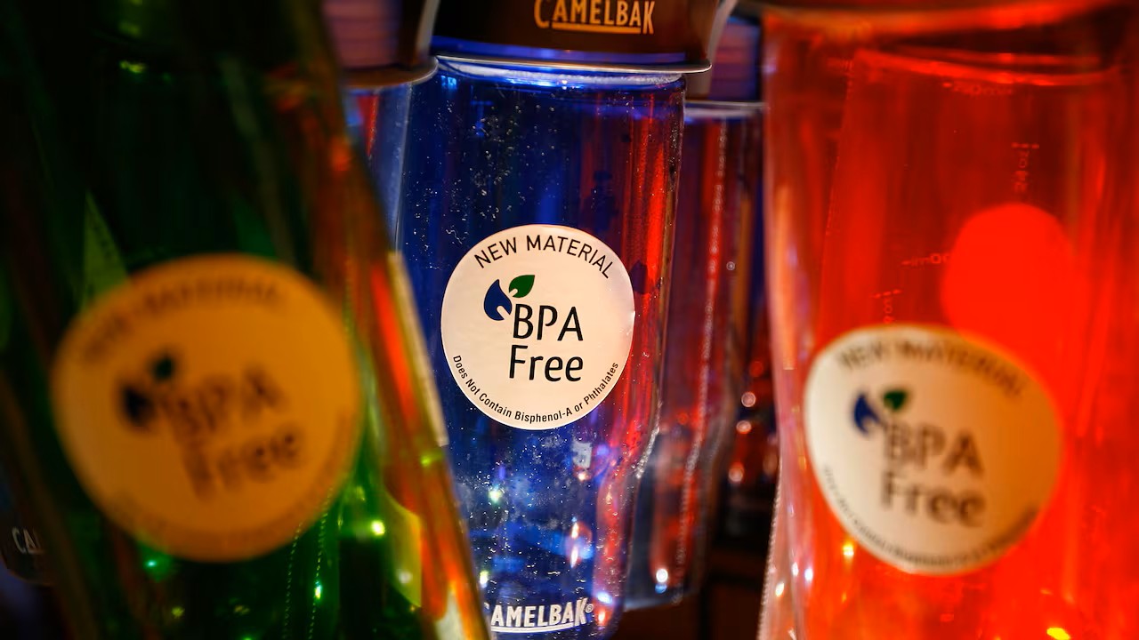 How EverichHydro Supports Schools and Businesses with Wholesale BPA-Free Water Bottles